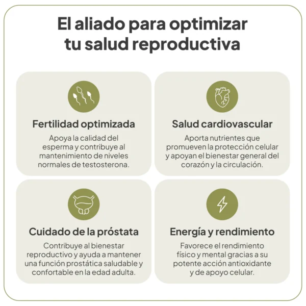 vitalnatal man 60 capsulas ivb
